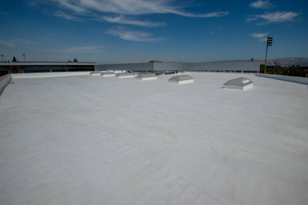 Best Roof Moss and Algae Removal  in Standish, MI