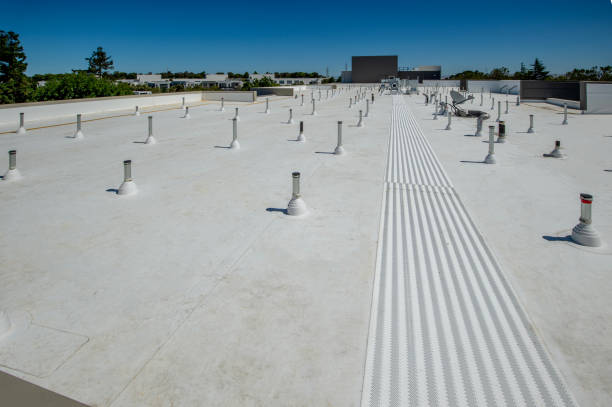 Best Cold Roofs  in Standish, MI